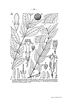  no thumbnail available