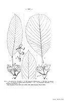  no thumbnail available