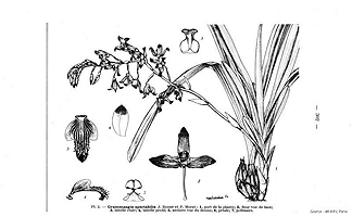  no thumbnail available