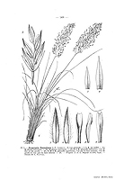  no thumbnail available