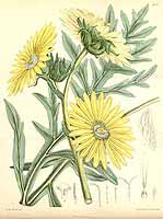  no thumbnail available