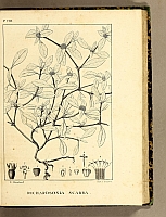  no thumbnail available