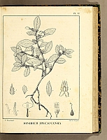  no thumbnail available