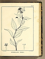  no thumbnail available