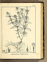  no thumbnail available