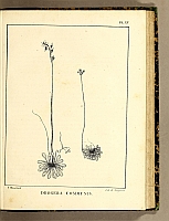  no thumbnail available