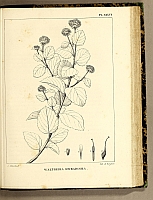  no thumbnail available