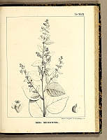  no thumbnail available