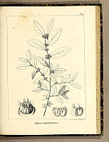  no thumbnail available