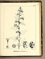  no thumbnail available