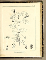  no thumbnail available