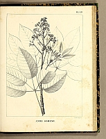  no thumbnail available