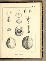  no thumbnail available