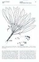  no thumbnail available