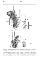  no thumbnail available