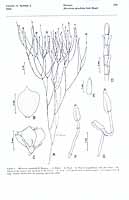  no thumbnail available