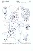  no thumbnail available