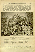  no thumbnail available