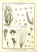  no thumbnail available