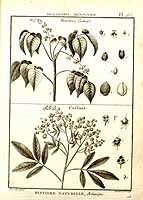  no thumbnail available