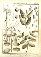  no thumbnail available