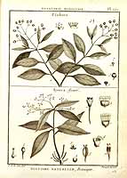  no thumbnail available