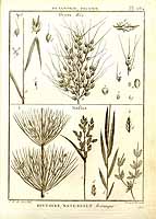  no thumbnail available