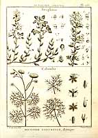  no thumbnail available