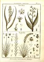  no thumbnail available