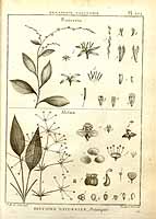  no thumbnail available