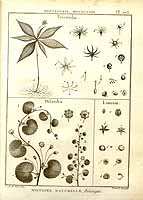  no thumbnail available