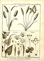  no thumbnail available