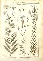  no thumbnail available