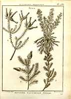  no thumbnail available