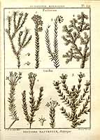  no thumbnail available