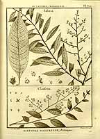  no thumbnail available