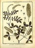  no thumbnail available