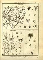  no thumbnail available