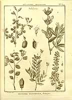  no thumbnail available