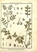  no thumbnail available