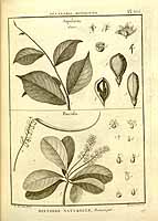  no thumbnail available