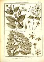  no thumbnail available