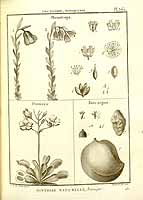  no thumbnail available