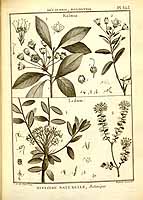  no thumbnail available