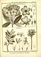  no thumbnail available