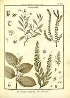  no thumbnail available