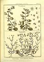  no thumbnail available