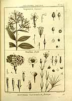  no thumbnail available