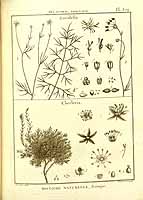  no thumbnail available