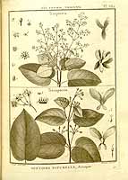  no thumbnail available